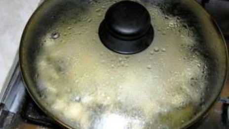 грибы закусочные