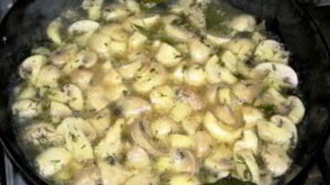 грибы закусочные