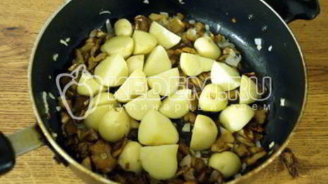 лисички жареные с картофелем