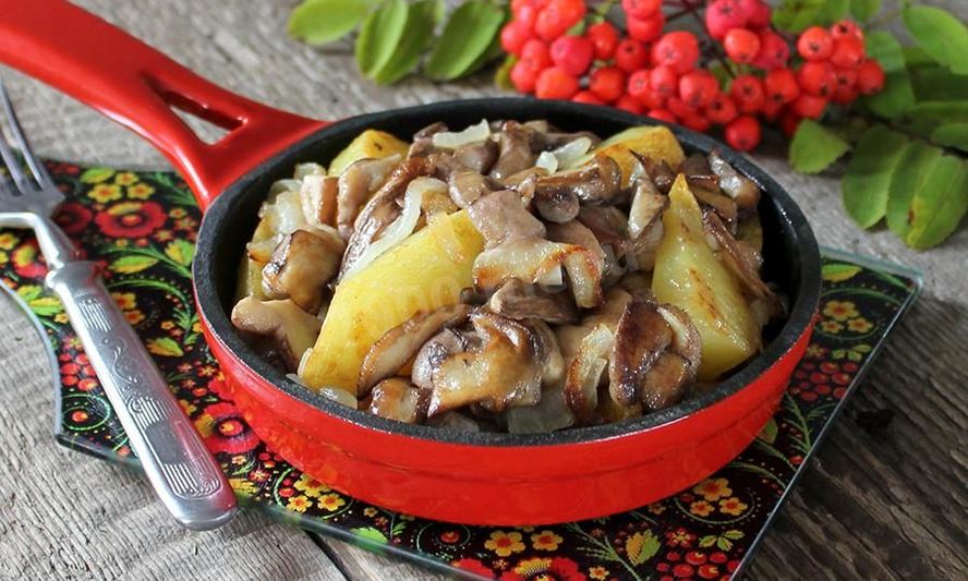 Рецепт маслят жареных с картошкой
