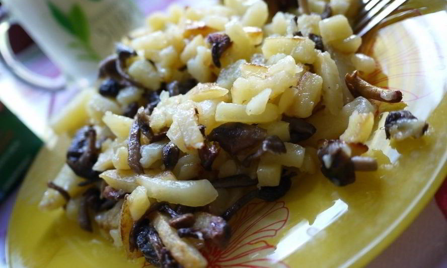 Рецепт жареных опят с картошкой