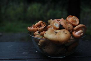 Жареные рыжики