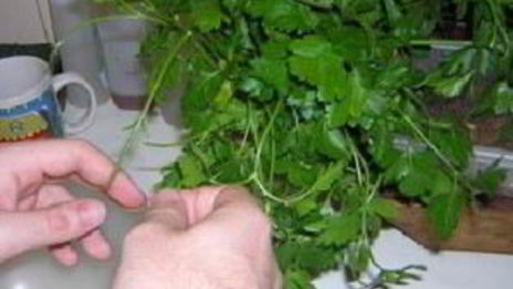 клецки из тыквы с кориандром алмонд песто