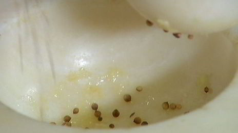 котлетки из индейки с цукини и мятой