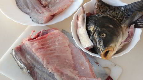 котлеты из сазана