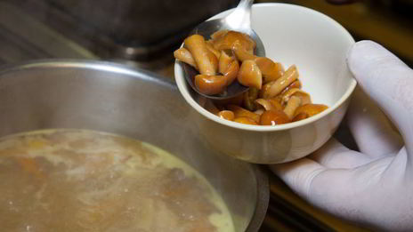 куриная лапша с опятами