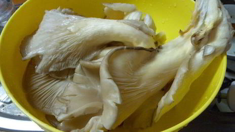 грибная лазанья