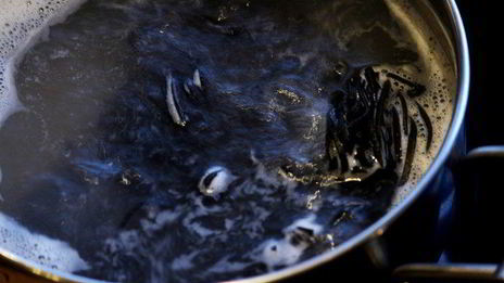 черная паста с грибами и соусом бешамель