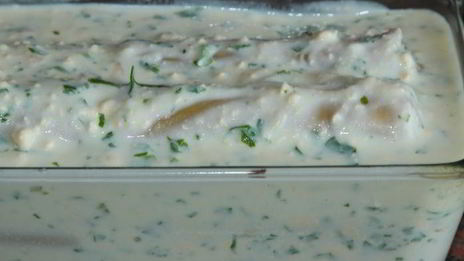 каннеллони под сливочно-яичным соусом