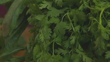 паста с колбасками и радиккио