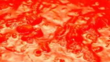 спагетти по-итальянски