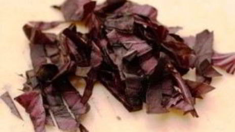 спагетти по-итальянски