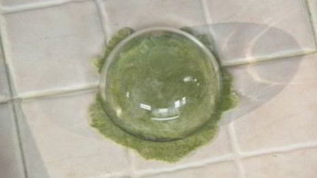 манты с зеленью