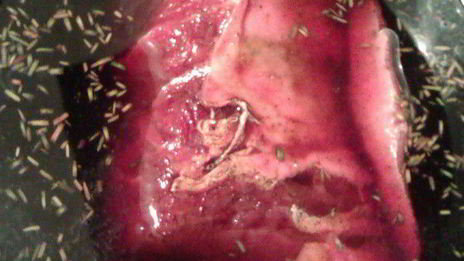 модная говядина по-французски в пряном вине