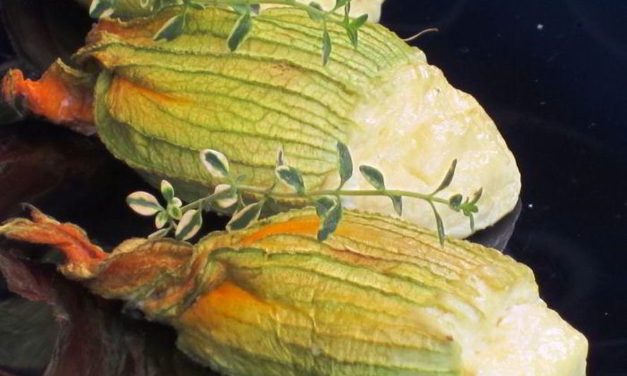 Рецепт цветков цукини, фаршированные рикоттой