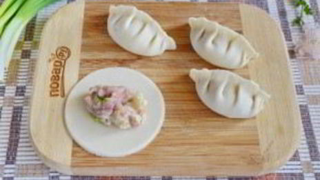 японские жареные пельмешки гедза