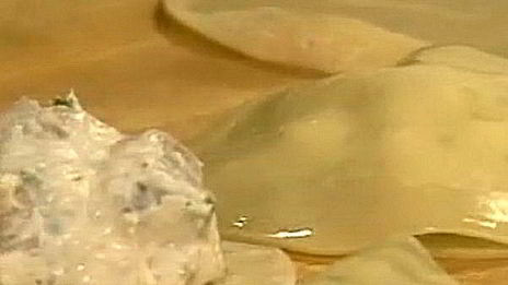 жареные эби-вонтоны