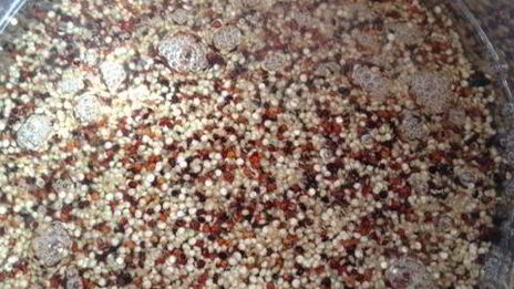 фрикасе из утки с киноа