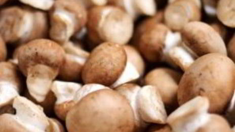 рагу из оленины