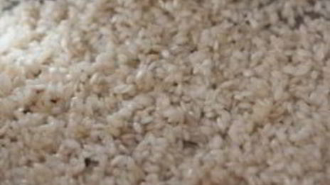 ризотто с грибами