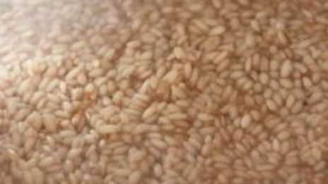 ризотто с грибами