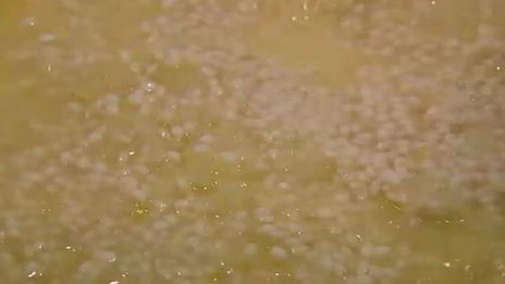 ризотто с раковыми шейками