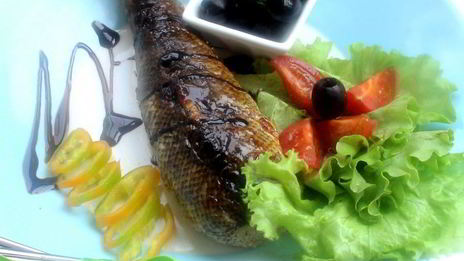 фаршированная красноперка