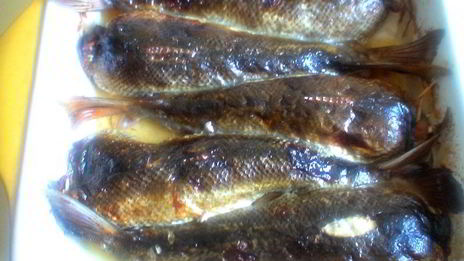 фаршированная красноперка