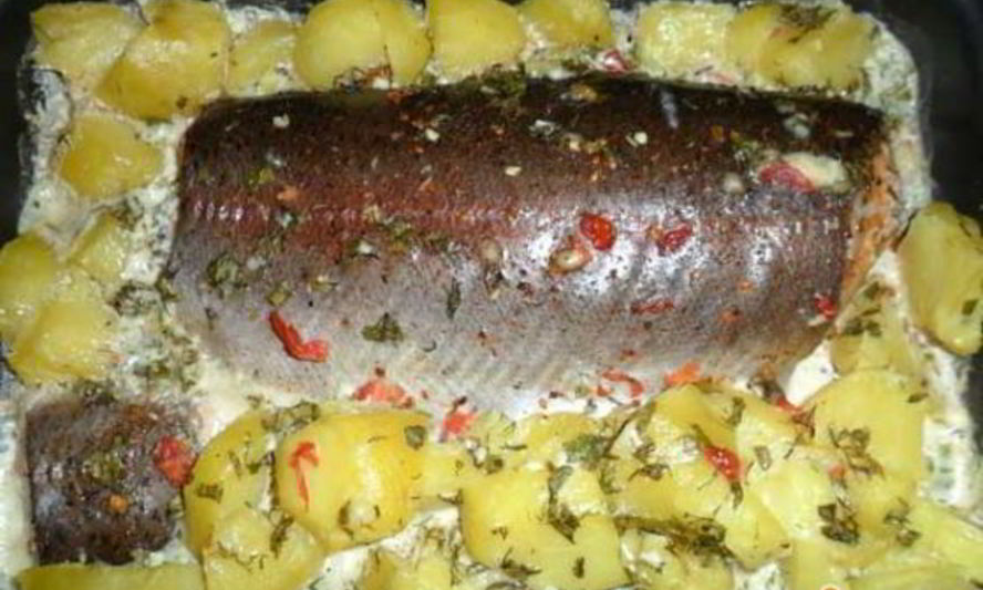 Рецепт форели, запеченной с картофелем в сливках