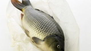 Икра из карася