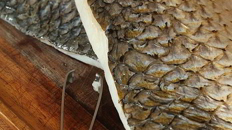 кефаль со шпинатом