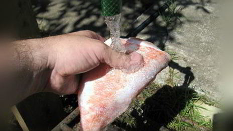 копченый морской окунь