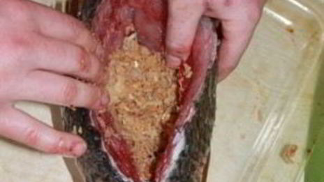 рыба, запеченная с квашеной капустой