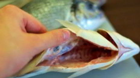 рыба, запеченная в соли