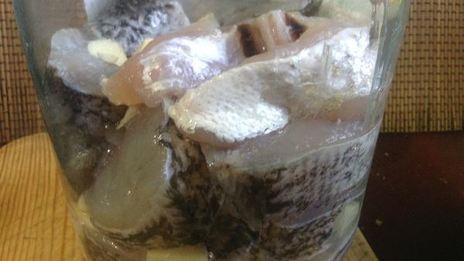 щука в рассоле-маринаде