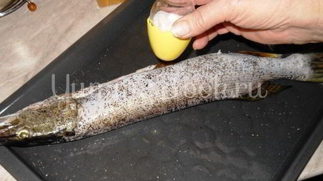 щука в сметане