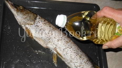 щука в сметане