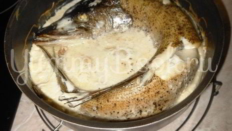 щука в сметане