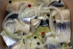 Сельдь по-русски