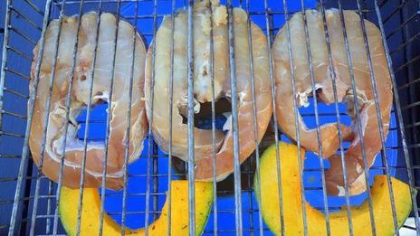 судак на гриле