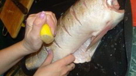 судак в духовке под сметанным соусом