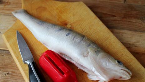 судак в сметане в духовке запеченный