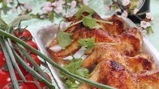 Шашлык из крылышек