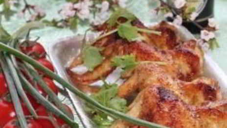 шашлык из крылышек