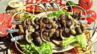 Шашлык из печенки с луком и фенхелем