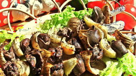 шашлык из печенки с луком и фенхелем