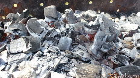 шашлык из свинины на минеральной воде