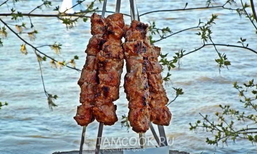 Рецепт шашлыка в томатном соке