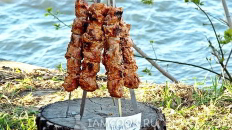 шашлык в томатном соке