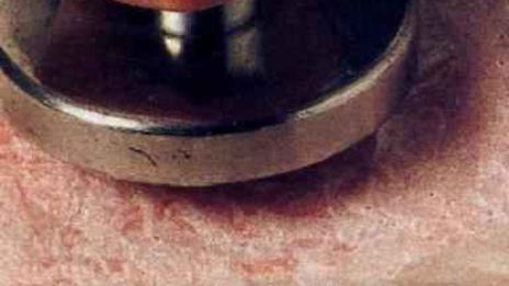 шницели алла миланезе фаршированные